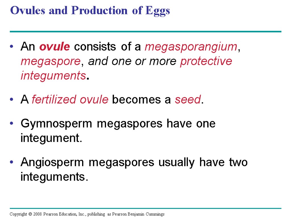 Ovules and Production of Eggs An ovule consists of a megasporangium, megaspore, and one